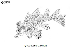 sea dragon sketch by Gaetano Gargiulo 